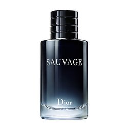 Christian Dior Sauvage Edt 100 ml, muški miris