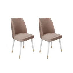 Hanah Home Set 2 trpezarijske stolice Šareni