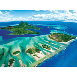 Eurographics Save Our Planet Puzzles Coral Reef 1000pcs 6000-5538