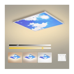 Brilagi - LED stropno svetlo SLIMFRAME LED/58W/230V 60x60 cm srebrna/plava