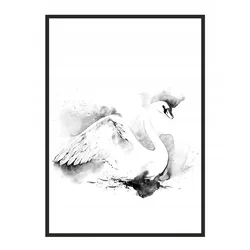 shumee PLAKAT V OKVIRJU 53x73 cm Labod P748