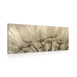 Slika regratovo seme v sephia izvedbi - 120x60