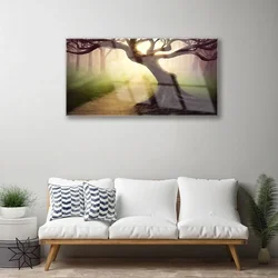 tulup.si Slika na steklu Tree sončnimi žarki 125x50 cm 2 obešalnika