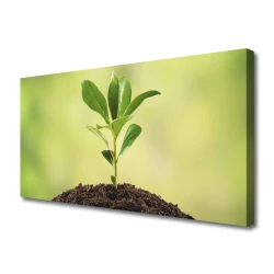 tulup.si Slika na platnu Zemlja rastlin rast 125x50 cm