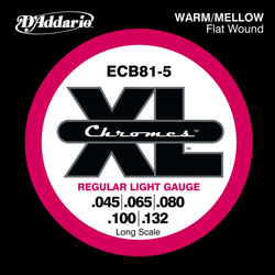 D´Addario ECB 81 5
