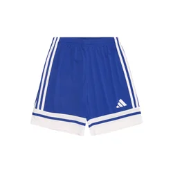 ADIDAS PERFORMANCE Športne hlače SQUA25 modra/bela