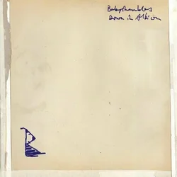Babyshambles Down In Albion (2 LP)