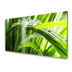 tulup.si Slika na steklu Rastlin trava dew drops 140x70 cm 2 obešalnika