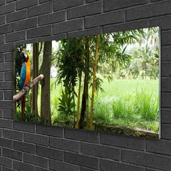 tulup.si Slika na akrilnem steklu Parrot tree narava 100x50 cm 2 obešalnika