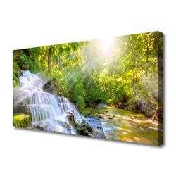 tulup.si Slika na platnu Forest slap narava 120x60 cm