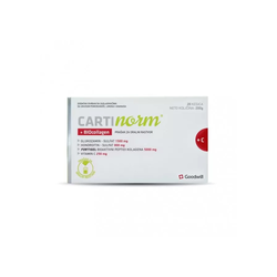 GOODVILL Cartinorm + biokolagen