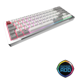 RAIJINTEK MGA-68 SILVER 0R40B00276