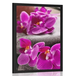 Plakat čudovita orhideja in Zen kamni - 40x60 no frame