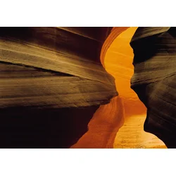 KOMAR Foto tapet 1-603, 184x127cm