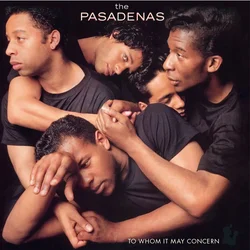 The Pasadenas - To Whom It May Concern (Reissue) (Limited Edition) (Red Coloured) (180 g) (LP)