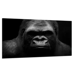 shumee Steklena zaščitna plošča ZA štedilnik 90X52 gorilla