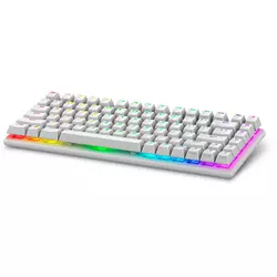 Alienware Pro Wireless Gaming Keyboard tipkovnica Igranje iger USB + RF Wireless + Bluetooth Bela