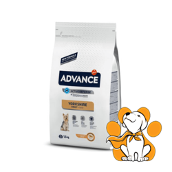 Advance Adult Yorkshire, +1 godina 1,5kg, Hrana prilagođena rasi, Za odrasle pse