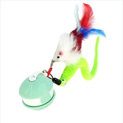 INF Pet Self-Entertaining Interactive Cat Toy Ball – USB-C Rechargeable Motion-Activated Play Ball Green, (5000215059)