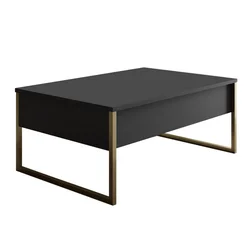 Hanah Home Luxe Sto za dnevnu sobu, Crno-Zlatna