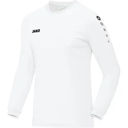 jako team jersey