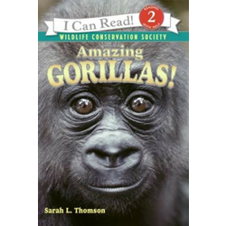 Amazing Gorillas!