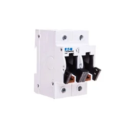 Eaton Varovalčno stikalo 2P 63A D02 400V Z-SLS/NEOZ/2 248233