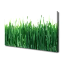 tulup.si Slika na platnu Grass nature rastlin 120x60 cm