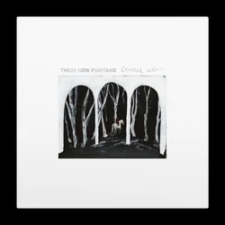 These New Puritans - Crooked Wing (Black Coloured) (LP)