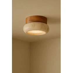 Opviq Zidna lampa Worm-S, Braon-bež