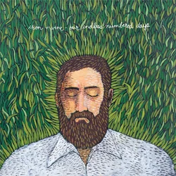 Iron and Wine Our Endless Numbered Days (2 LP) (Deluxe Edition)