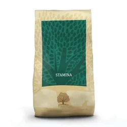 Essential Stamina Large Breeds - Hrana za aktivne pse velikih rasa 10kg