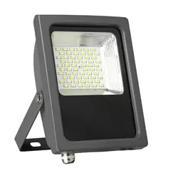 LED reflektor 30W, bela hladna 6500K, 220VAC, IPX3
