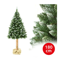 Božićna jelka sa deblom 180 cm, bor