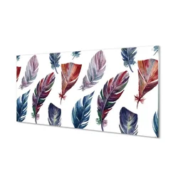 tulup.si Steklena slika Pisane perje 100x50 cm 2 obešalnika
