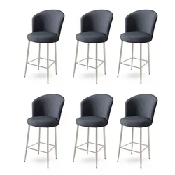 Hanah Home Set barskih stolica Fora, 6 komada, Antracit