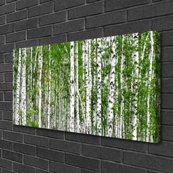 tulup.si Slika na platnu Birch tree forest narava 100x50 cm