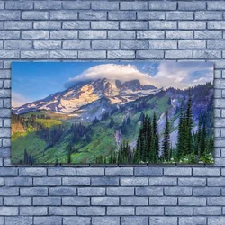 tulup.si Slika na platnu Forest landscape mountain nature 125x50 cm
