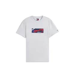 Tommy Jeans Majica modra / svetlo siva / rdeča