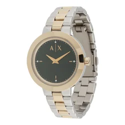 ARMANI EXCHANGE Analogna ura zlata/srebrna