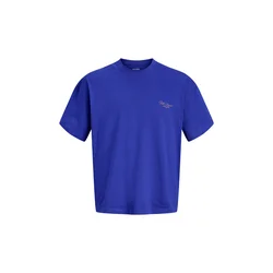 JACK & JONES Majica Sanremo modra / mešane barve