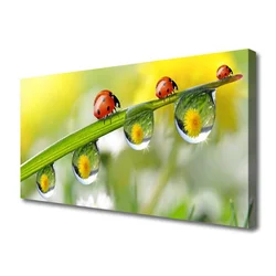 tulup.si Slika na platnu Leaf ladybugs narava 120x60 cm