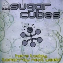 The Sugarcubes - Here Today, Tomorrow Next Week! (2 LP)