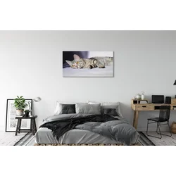 tulup.si Slika na platnu Leži mačka 100x50 cm