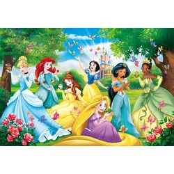 Clementoni puzzle 60 maxi princess ( CL26471 )