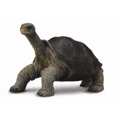COLLECTA Zbirateljska figurica , želva otok Pinta, 3+; 1 kos