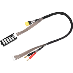 Polnilni kabel Pro - XT-60 moški/XH 2-6S