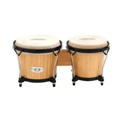 Bongo Synergy TOCA TO802.108