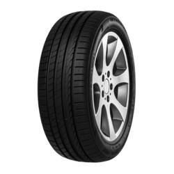 Minerva Ecospeed 2 SUV ( 295/35 R21 107Y XL )
