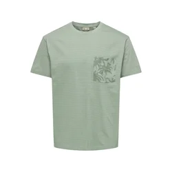 Only & Sons Majica ONSFRED  zelena / pastelno zelena